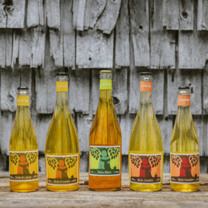 Bois tendre & Bois de cœur