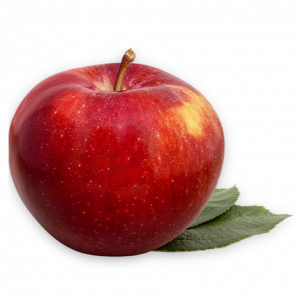 Pomme Spartan